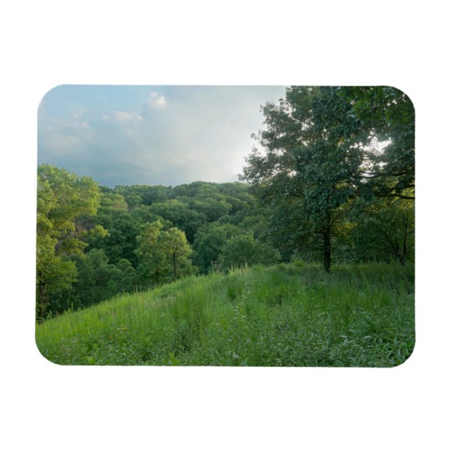 Pine Bend Bluff mit Blick auf die Wälder des Tals Magnet (Horizontal)
