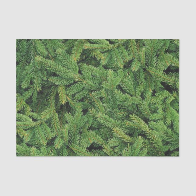 Pine Blanket Tissue Paper Seidenpapier (Vorderseite)