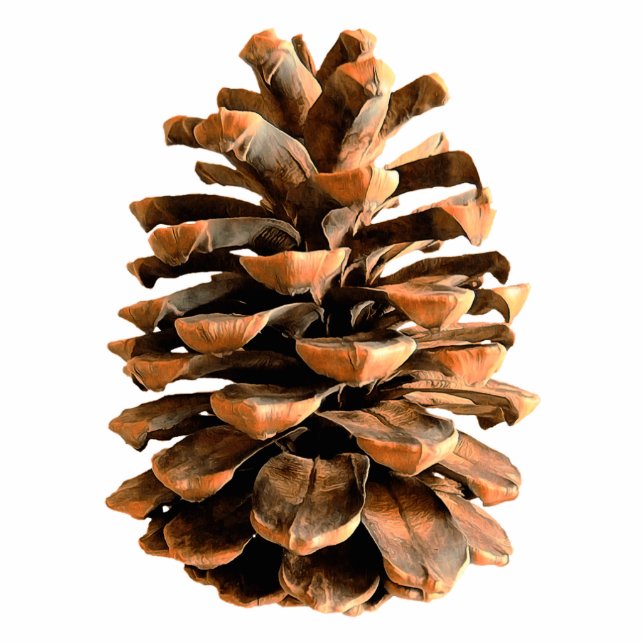 Pine Cone Fotoskulptur Magnet (Vorne)