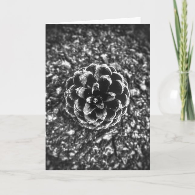 Pine Cone Karte (Vorderseite)