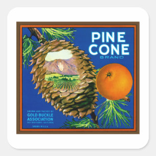 Pine Cone Orangen Quadratischer Aufkleber