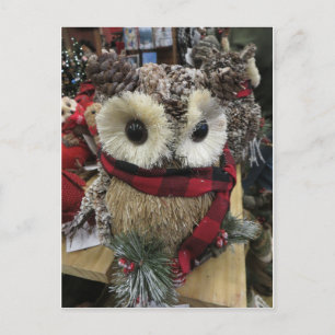 Pine Cone Owl Postkarte