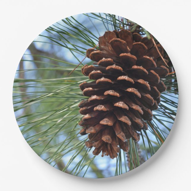 Pine Cone Pappteller (Vorderseite)
