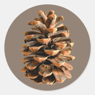 Pine Cone Runder Aufkleber