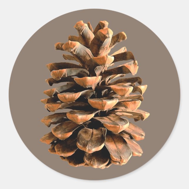 Pine Cone Runder Aufkleber (Vorderseite)