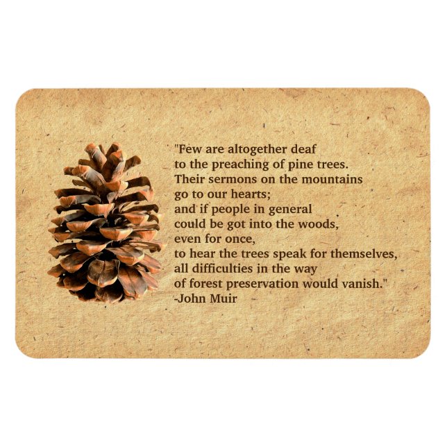 Pine Cone und John Muir Zitat Magnet (Horizontal)
