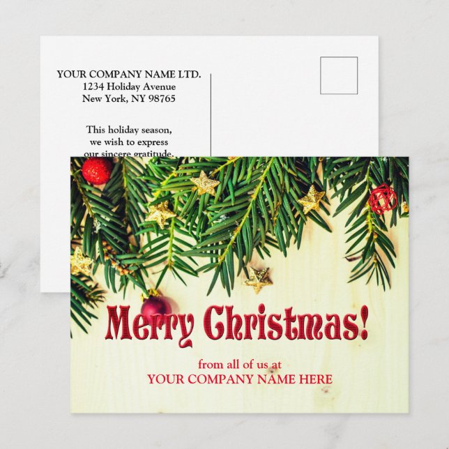 Pine Cones | Gruß Niedlich Postkarte (Vorne/Hinten)