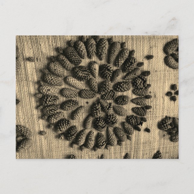 Pine Cones mandala retro Foto Postkarte (Vorderseite)