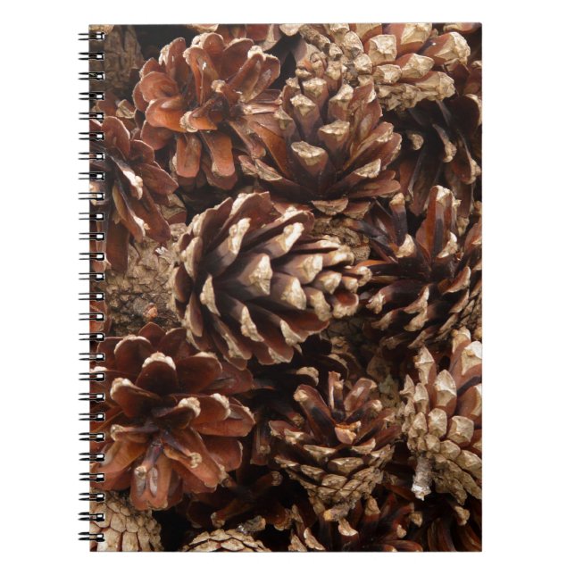 Pine Cones-Notebook Notizblock (Vorderseite)