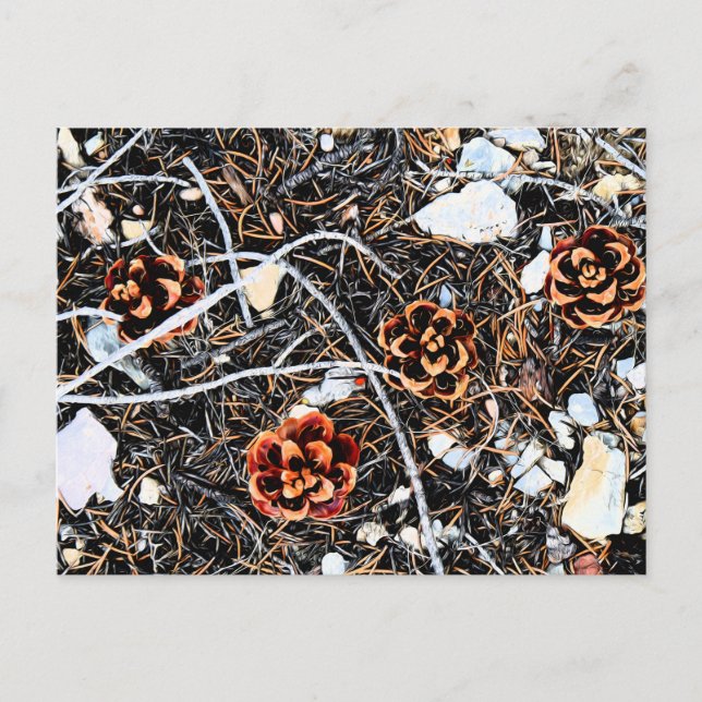 Pine Cones Postkarte (Vorderseite)
