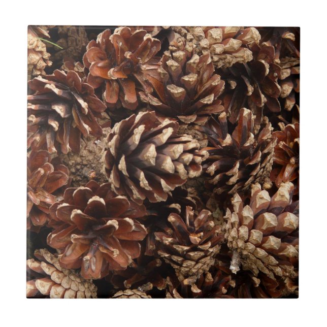 Pine Cones Tile Fliese (Vorderseite)
