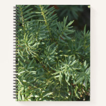 Pine Forest Spirale Notebook