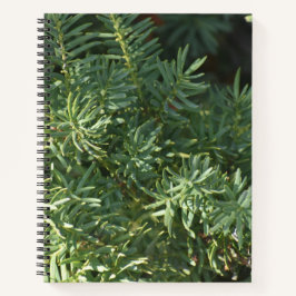 Pine Forest Spirale Notebook Notizbuch