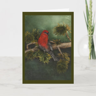 Pine Grosbeak Weihnachtskarte Feiertagskarte