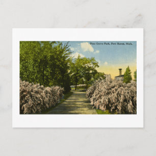 Pine Grove Park Port Huron Michigan Vintag Postkarte