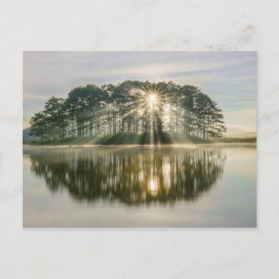 Pine Island Sunray Postkarte