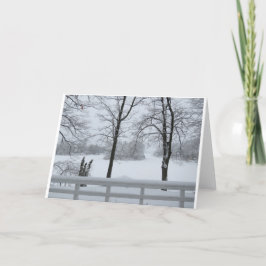 Pine Lake #2 Cove Winter Karte