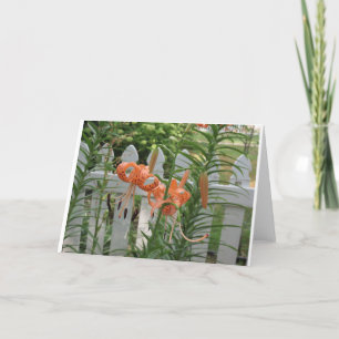 Pine Lake Lilies Karte