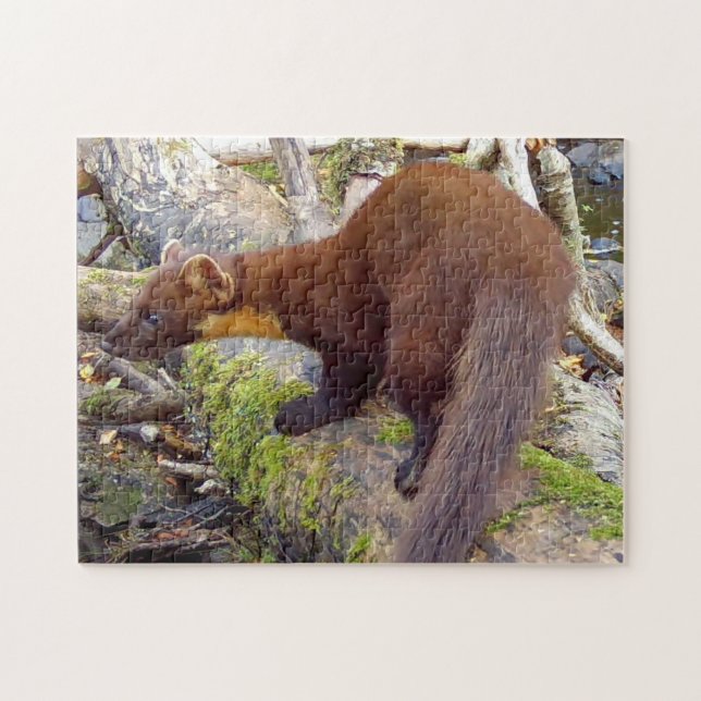 Pine Marten auf Log-editierbar Puzzle (Horizontal)