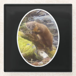 Pine Marten auf Log Glass Untersetzer
