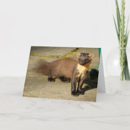 Pine marten Faltkarte Karte