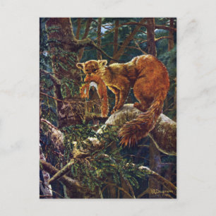Pine Marten mit Prey Postkarte