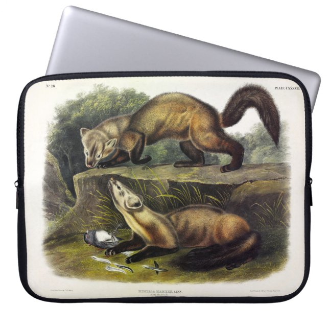 Pine Marten (Mustela Martes) Laptopschutzhülle (Vorderseite)