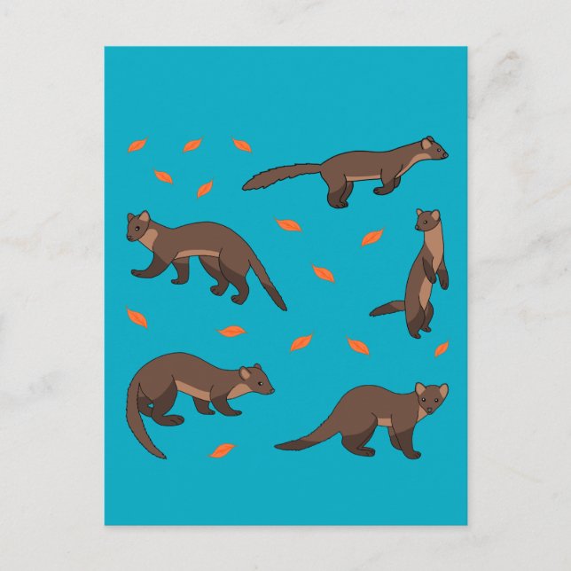 Pine Martens Postkarte (Vorderseite)