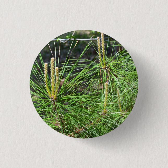 Pine Needles von Kenneth Yoncich Button (Vorderseite)