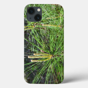 Pine Needles von Kenneth Yoncich Case-Mate iPhone Hülle