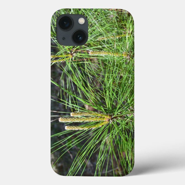 Pine Needles von Kenneth Yoncich Case-Mate iPhone Hülle (Rückseite)
