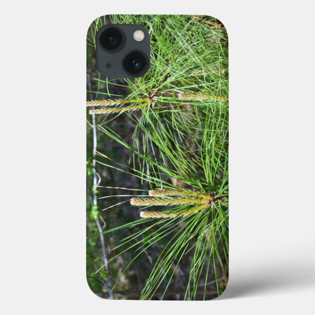 Pine Needles von Kenneth Yoncich Case-Mate iPhone Hülle (Rückseite)