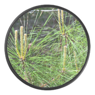 Pine Needles von Kenneth Yoncich Eishockey Puck