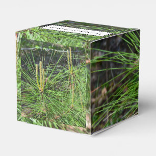 Pine Needles von Kenneth Yoncich Geschenkschachtel