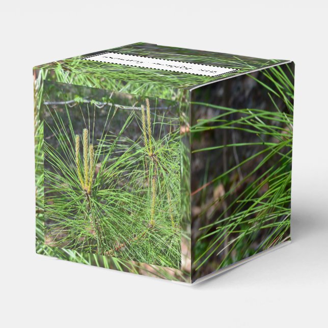 Pine Needles von Kenneth Yoncich Geschenkschachtel (Rückseite)