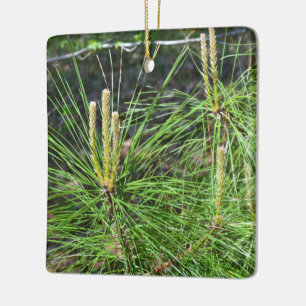 Pine Needles von Kenneth Yoncich Keramikornament
