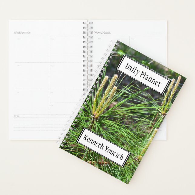 Pine Needles von Kenneth Yoncich Planer (Anzeige)