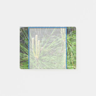 Pine Needles von Kenneth Yoncich Post-it Klebezettel