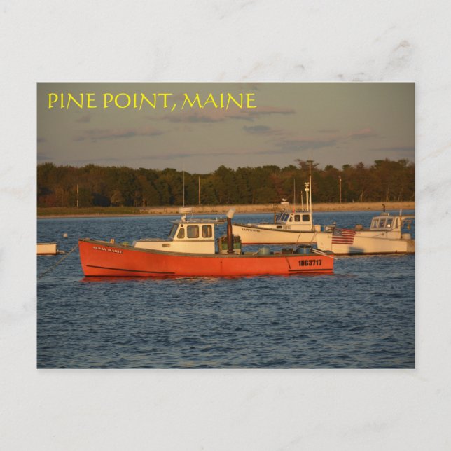Pine Point, Maine Postkarte (Vorderseite)