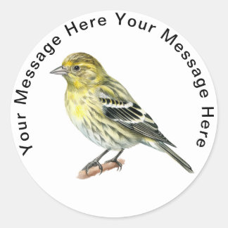 Pine-Siskin-Aufkleber Runder Aufkleber