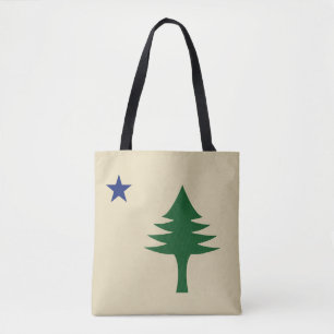Pine tree and star 1901 Fahne des Maine-Staat
