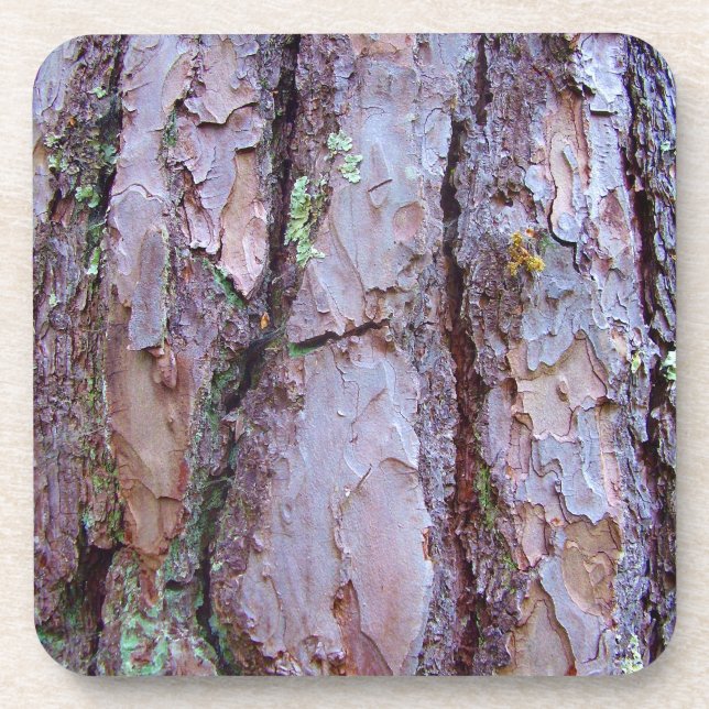 Pine Tree Bark Hard Plastic Untersetzer (Vorderseite)