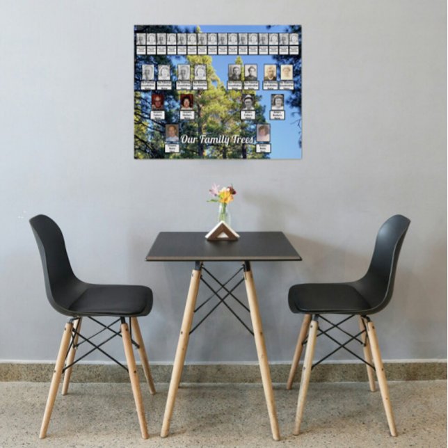 Pine Tree Forest Foto 2 Familienbäume Poster (Von Creator hochgeladen)