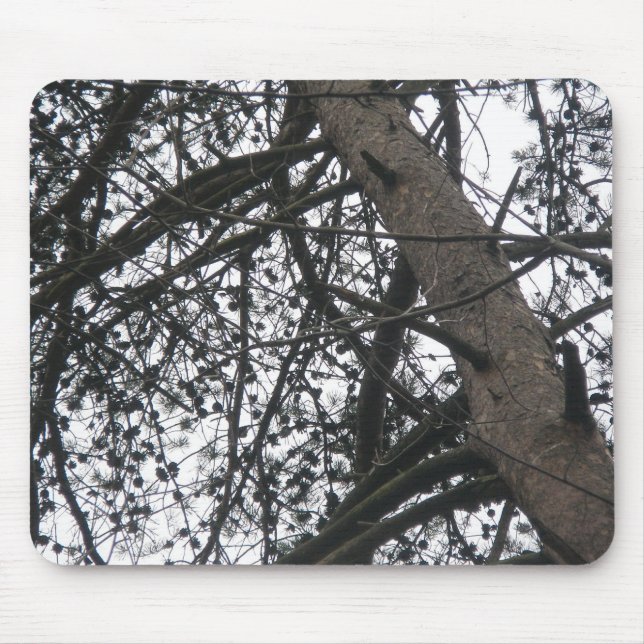 Pine Tree Silhouette Mousepad (Vorne)