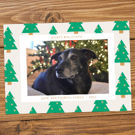 Pine Trees Holiday Photo Card Feiertagskarte
