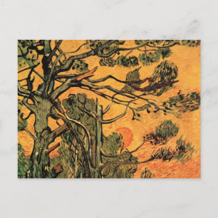 Pine Trees Red Sky Setting Sun by Vincent van Gogh Postkarte