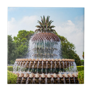Pineapple Fountain in Charleston, Fliese