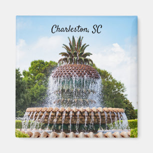 Pineapple Fountain in Charleston, Magnet