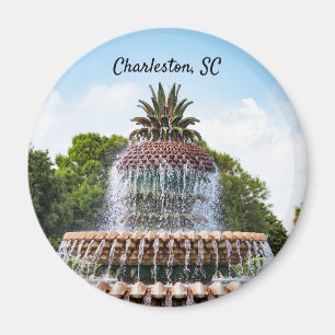 Pineapple Fountain in Charleston, Magnet