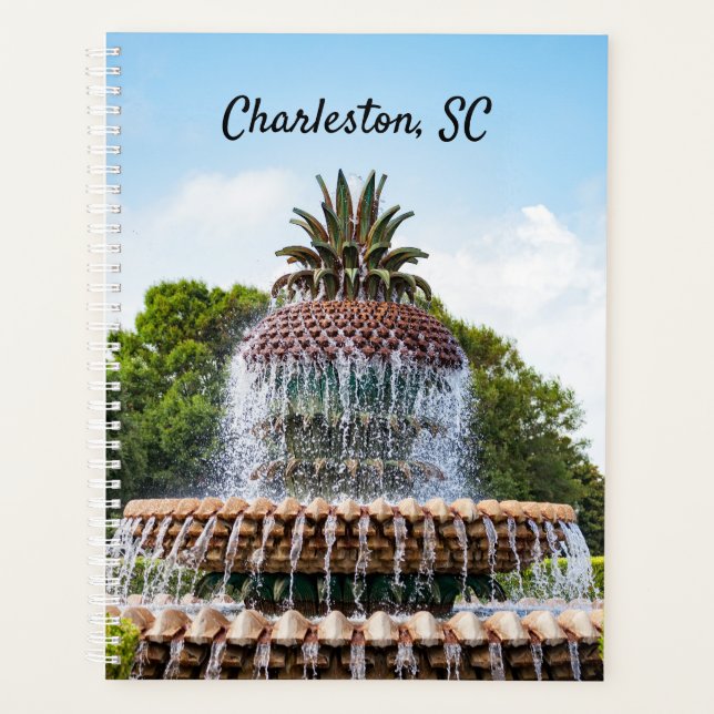 Pineapple Fountain in Charleston, SC Planer (Vorderseite)